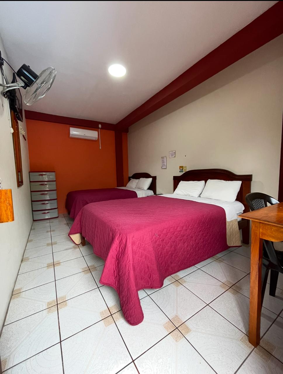 WhatsApp Image 2026-03-13 at 18.26.52